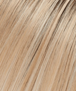 Eve Wig by Jon Renau | HF Synthetic Lace Front (Mono Top)