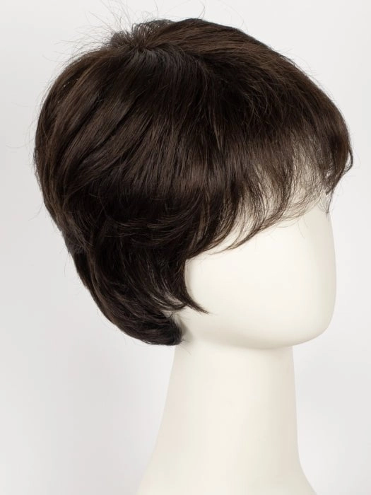 Fair Mono | Synthetic Lace Front Wig (Mono Top)