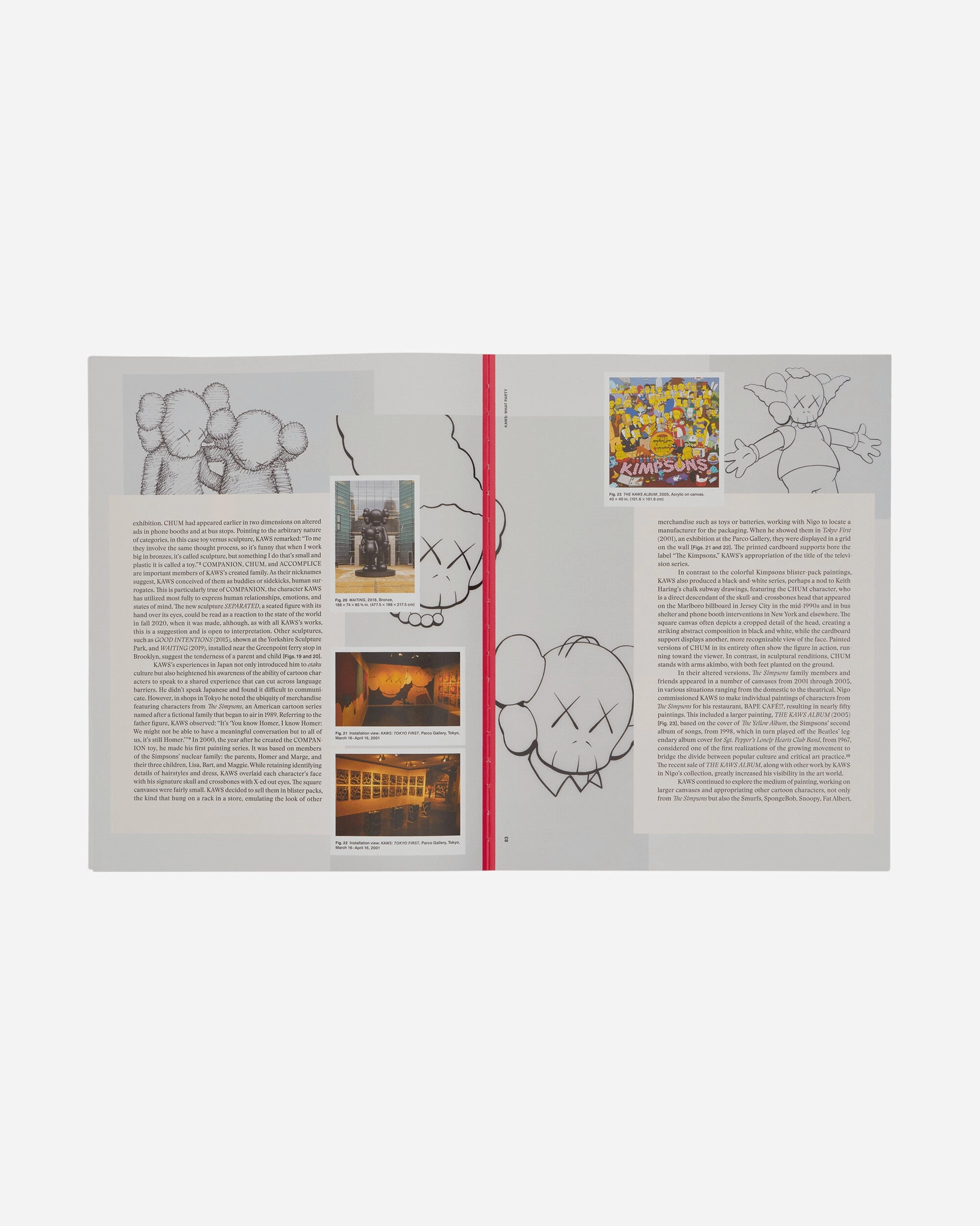 KAWS: What Party Book