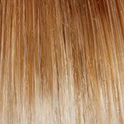Make a Statment Wig by Gabor | Heat Friendly Synthetic (Lace Front Mono)