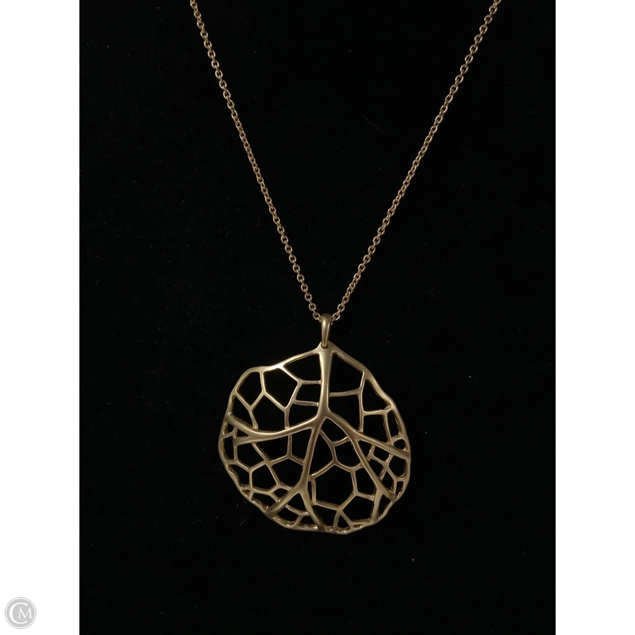 Necklace Pendant By Clothes Mentor
