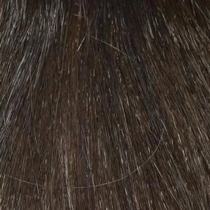 Roxie Wig by Envy | Synthetic (Lace Front Mono Top)