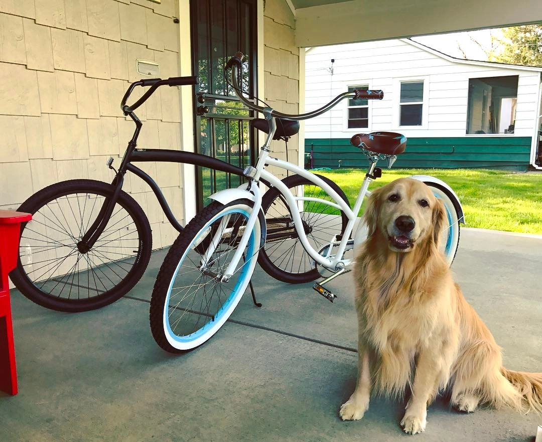 sixthreezero In The Barrel Single Speed Men's Beach Cruiser Bike
