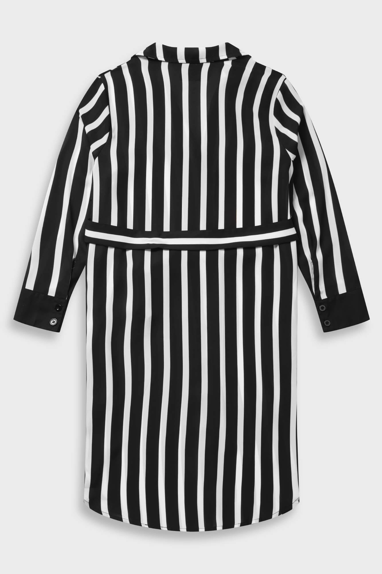Zita's Ruins Shirt Dress